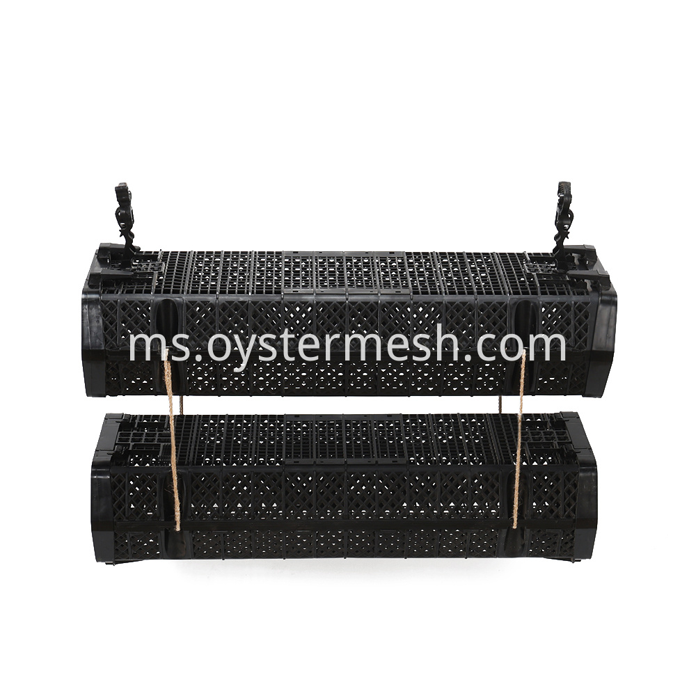 2 Layers Oyster Cage